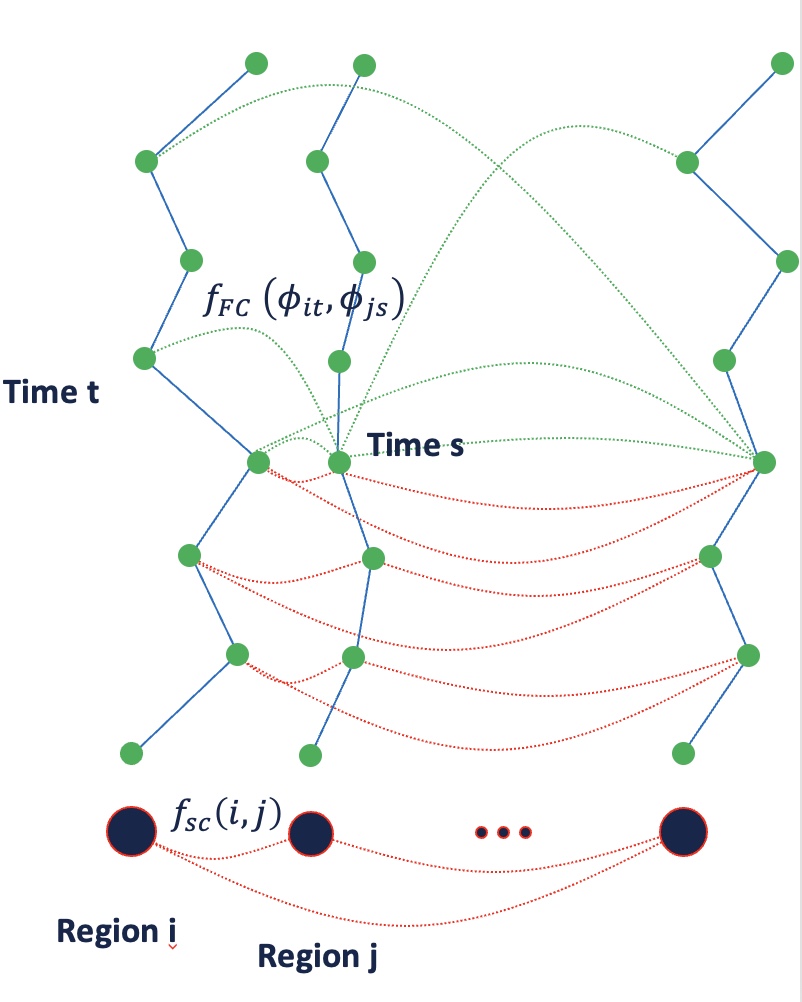 Coupling Structural and Functional Brain Connectome