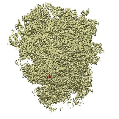 AI-driven Protein Structure Reconstruction
